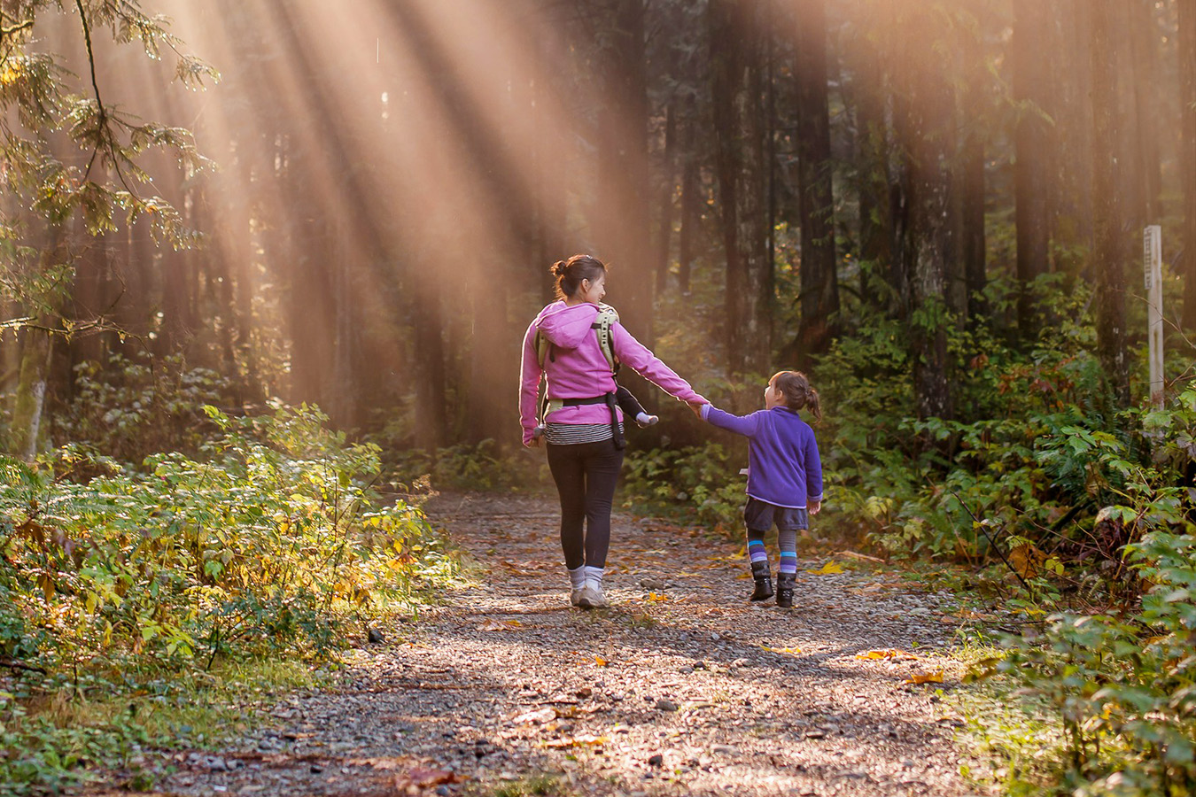 Juridische bijstand voor particulieren